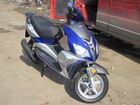  Nexus Falcon ( ).    .  3.  .