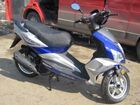  Nexus Falcon ( ).    .  4.  .