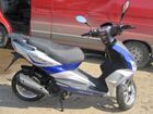  Nexus Falcon ( ).    .  5.  .