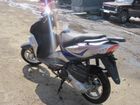  Nexus Falcon ( ).    .  7.  .