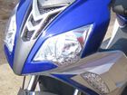  Nexus Falcon ( ).    .  10.  .