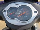  Nexus Falcon ( ).    .  11.  .