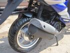  Nexus Falcon ( ).    .  14.  .